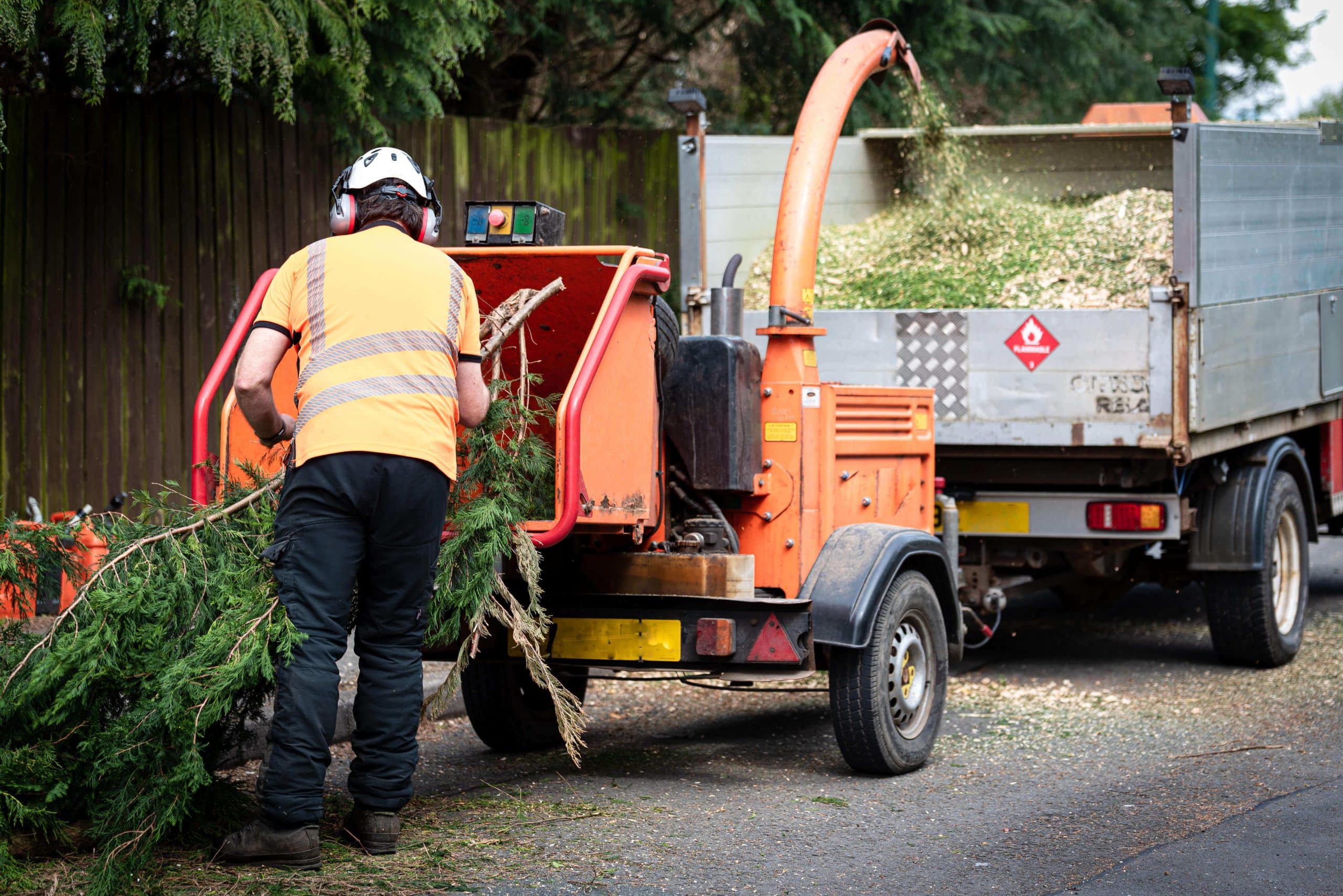Tree Stump Grinding/Removal Balham SW12